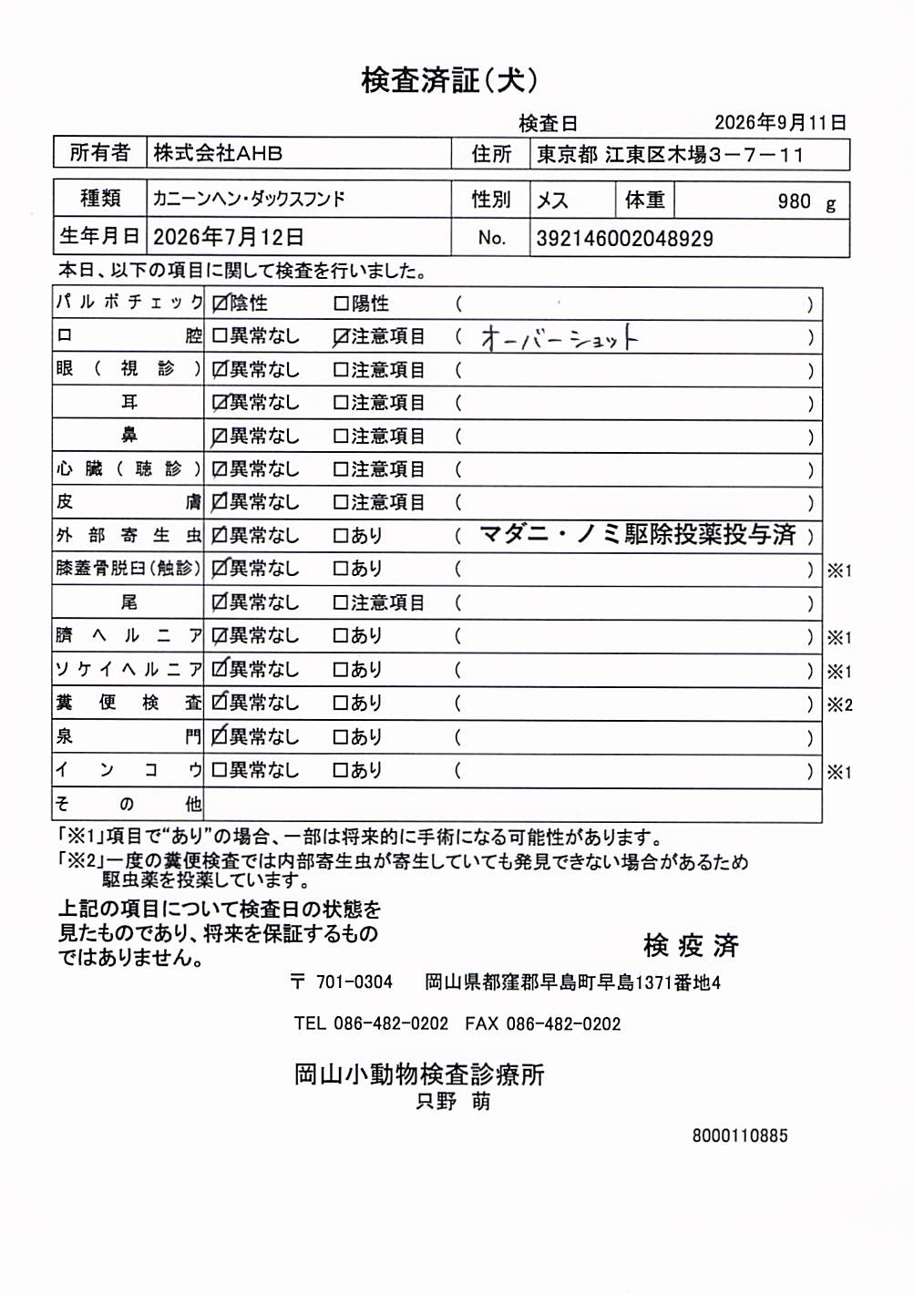 カニーンヘン・ダックスフンド