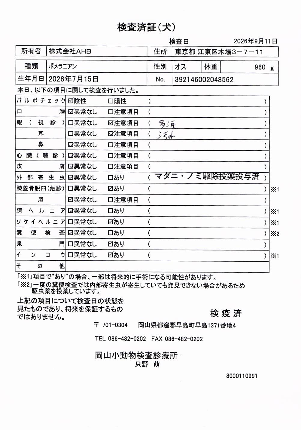 ポメラニアン