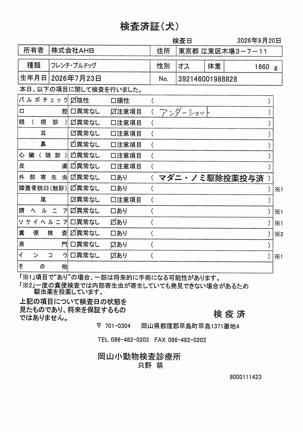 フレンチ・ブルドッグ