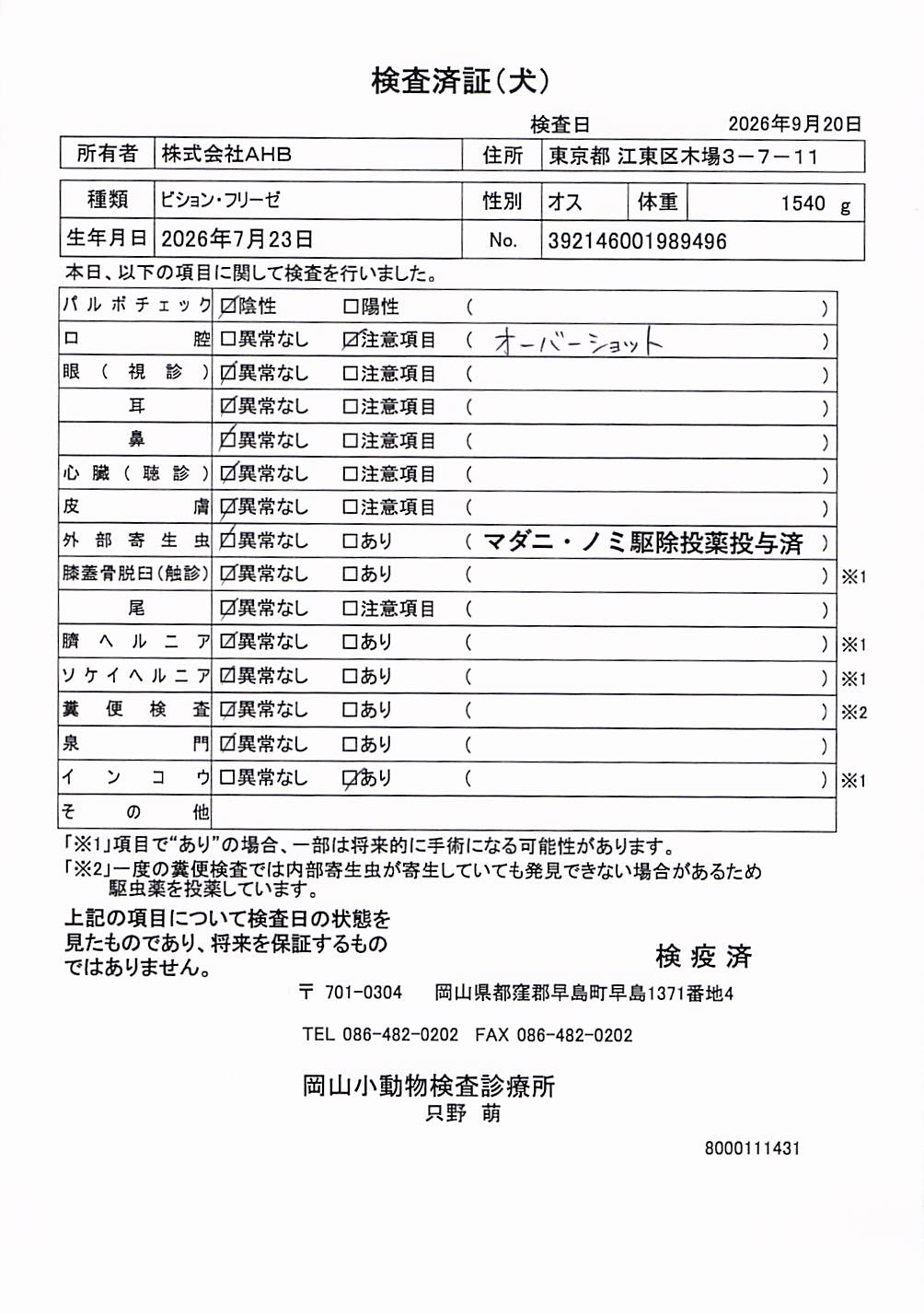 ビション・フリーゼ