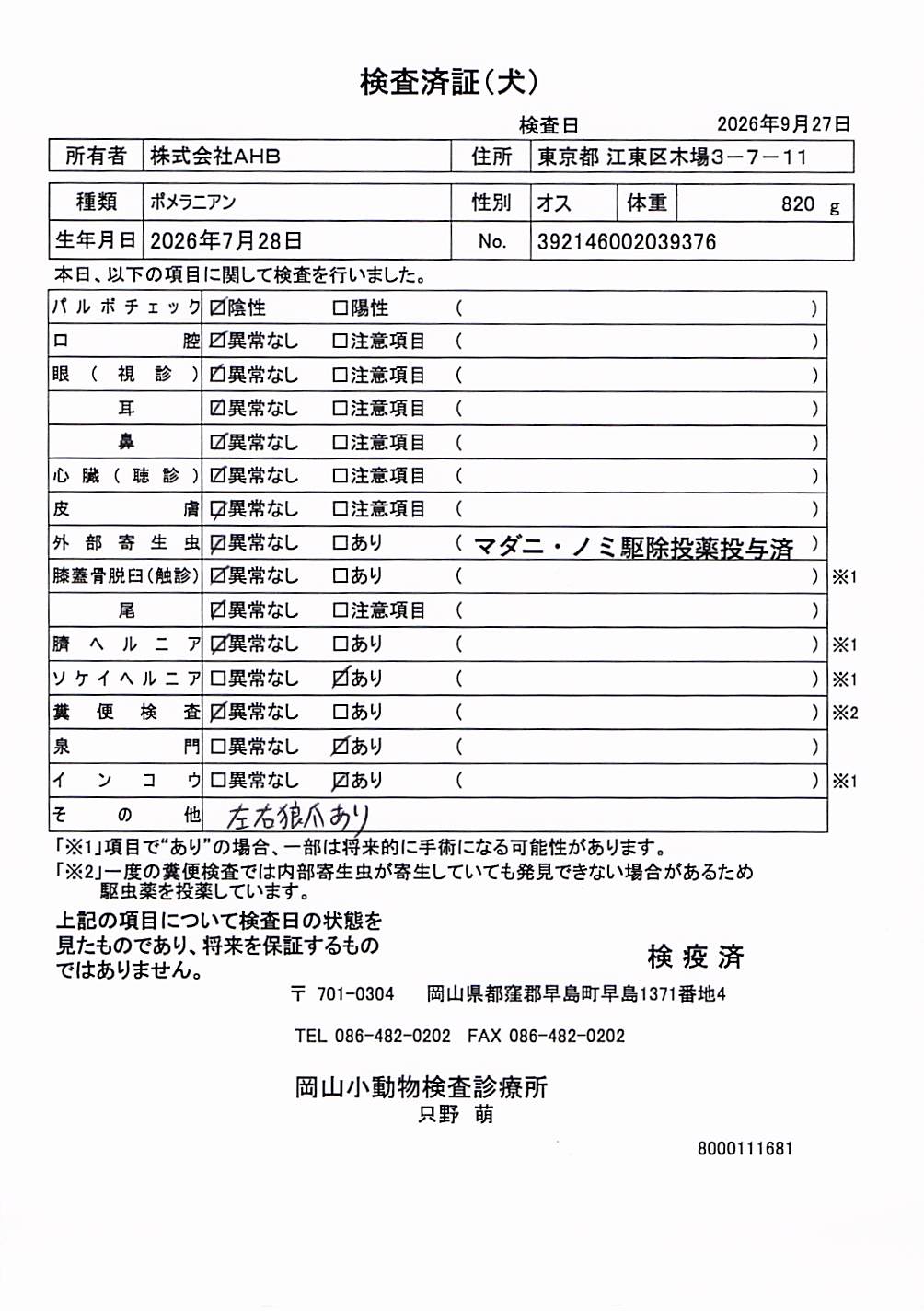 ポメラニアン