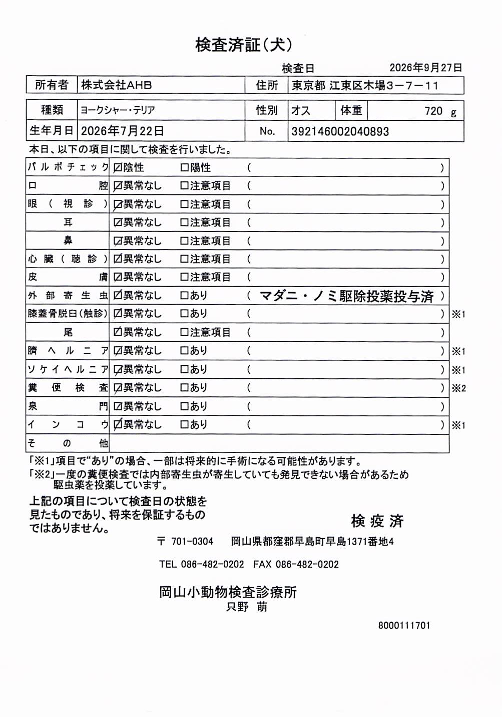 ヨークシャー・テリア