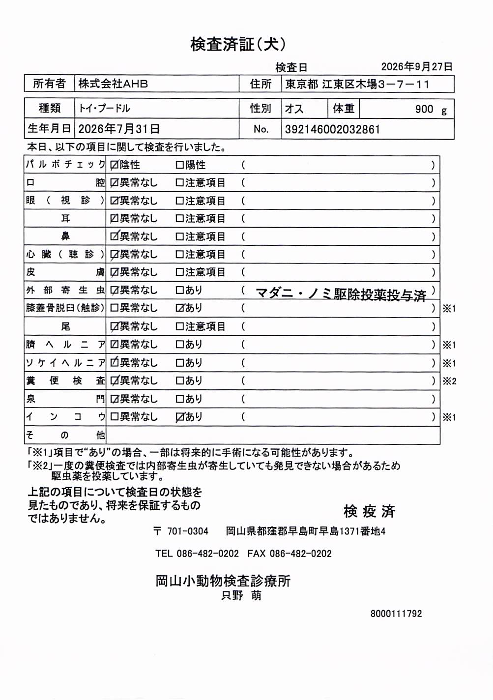 トイ・プードル
