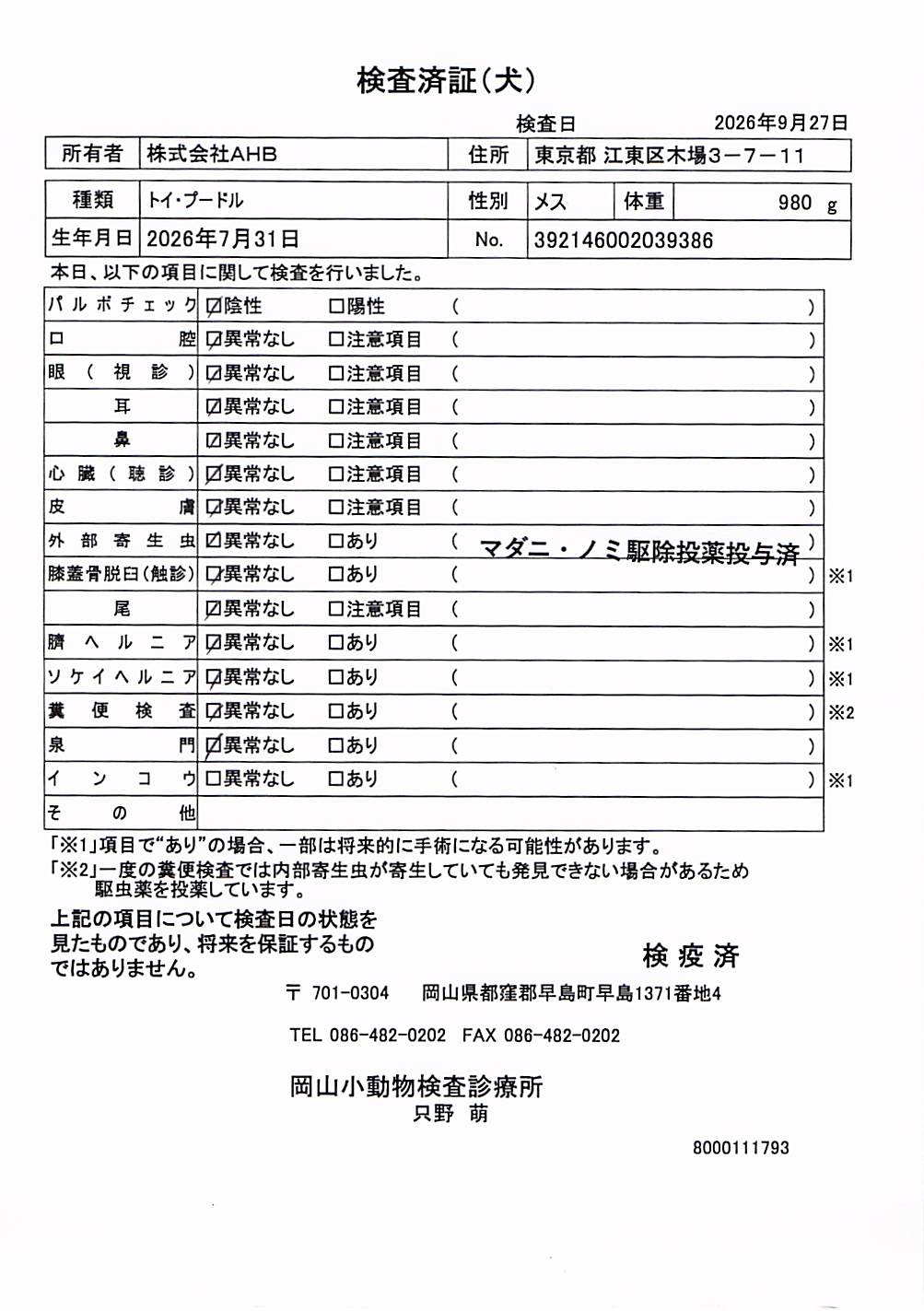 トイ・プードル