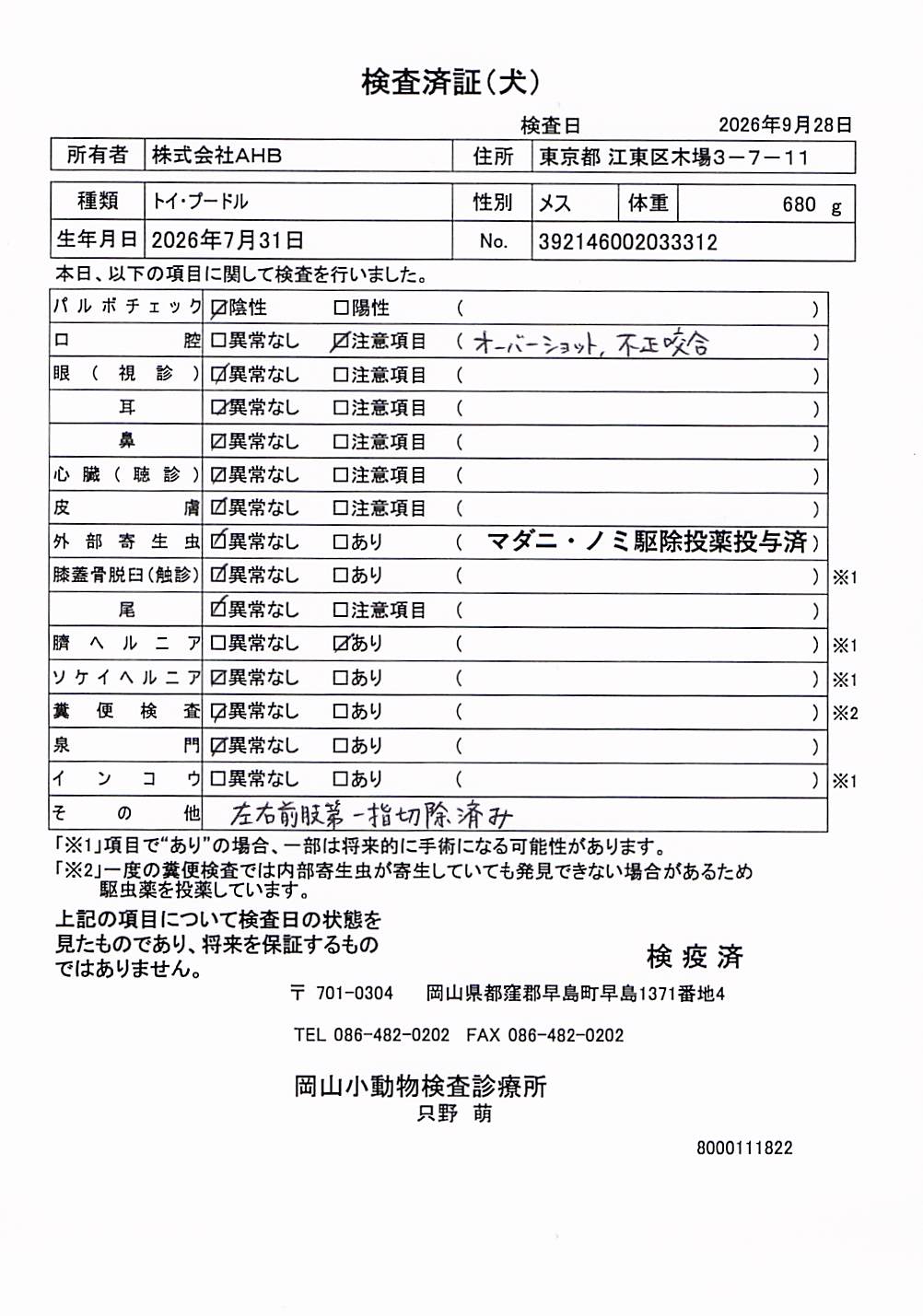 トイ・プードル