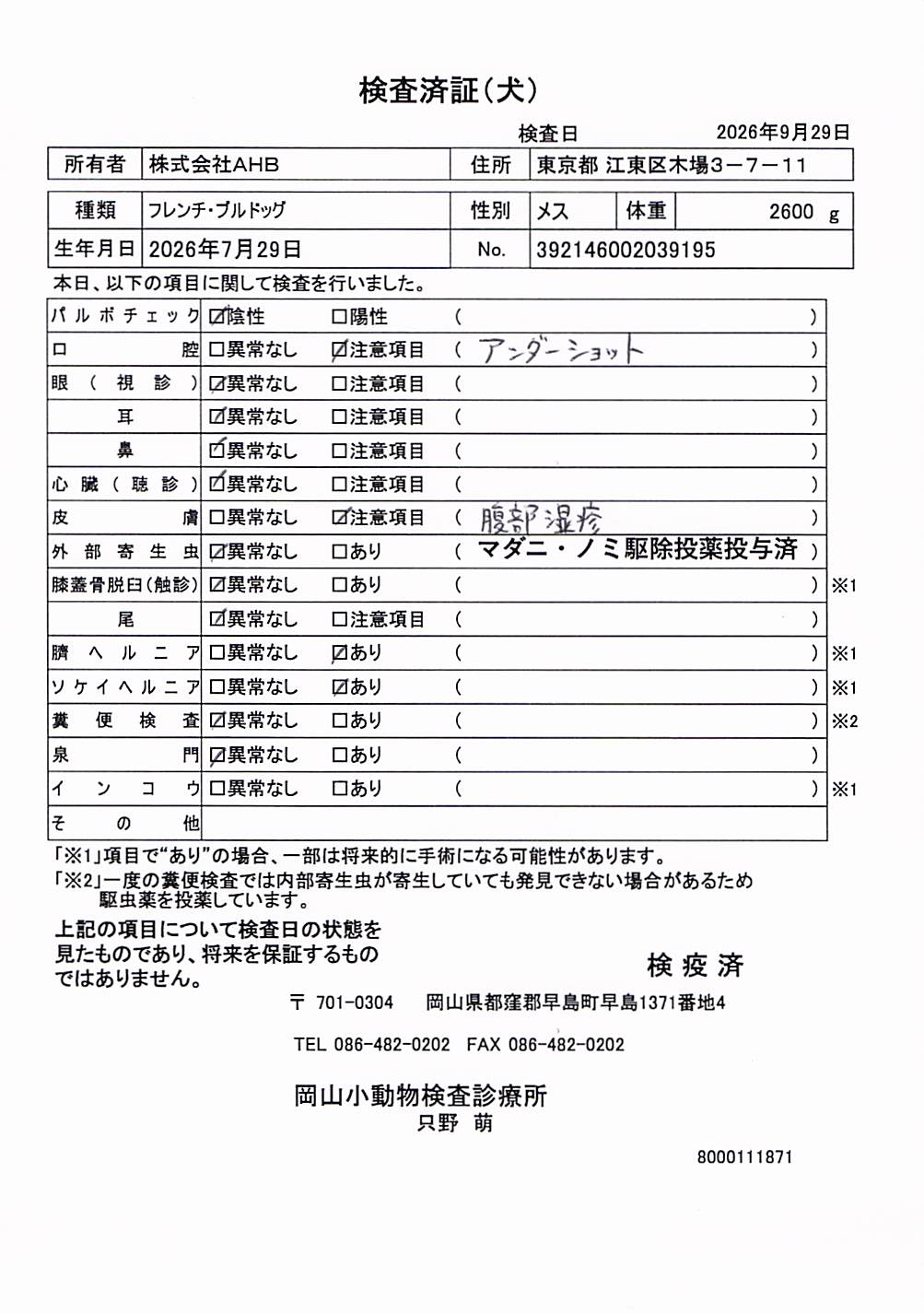 フレンチ・ブルドッグ