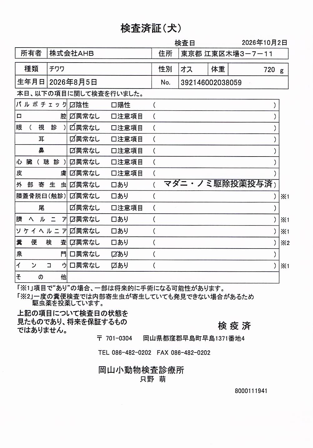 チワワ
