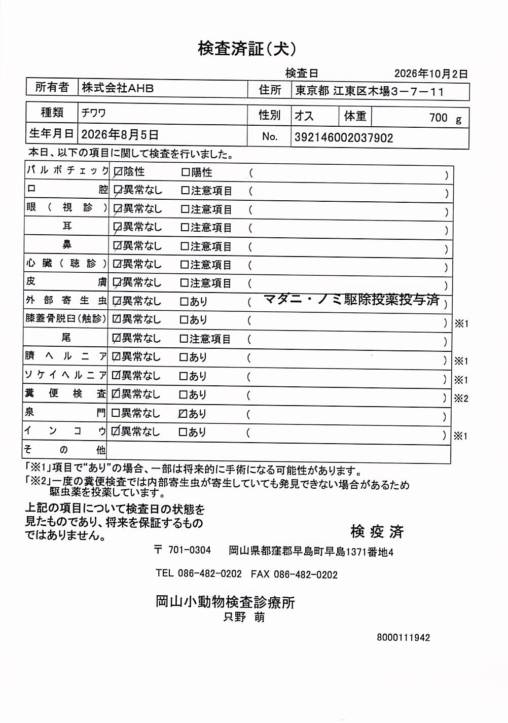 チワワ