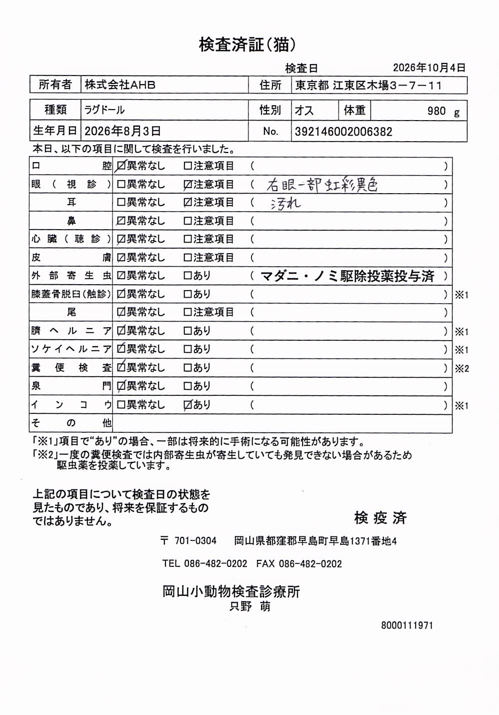 ラグドール
