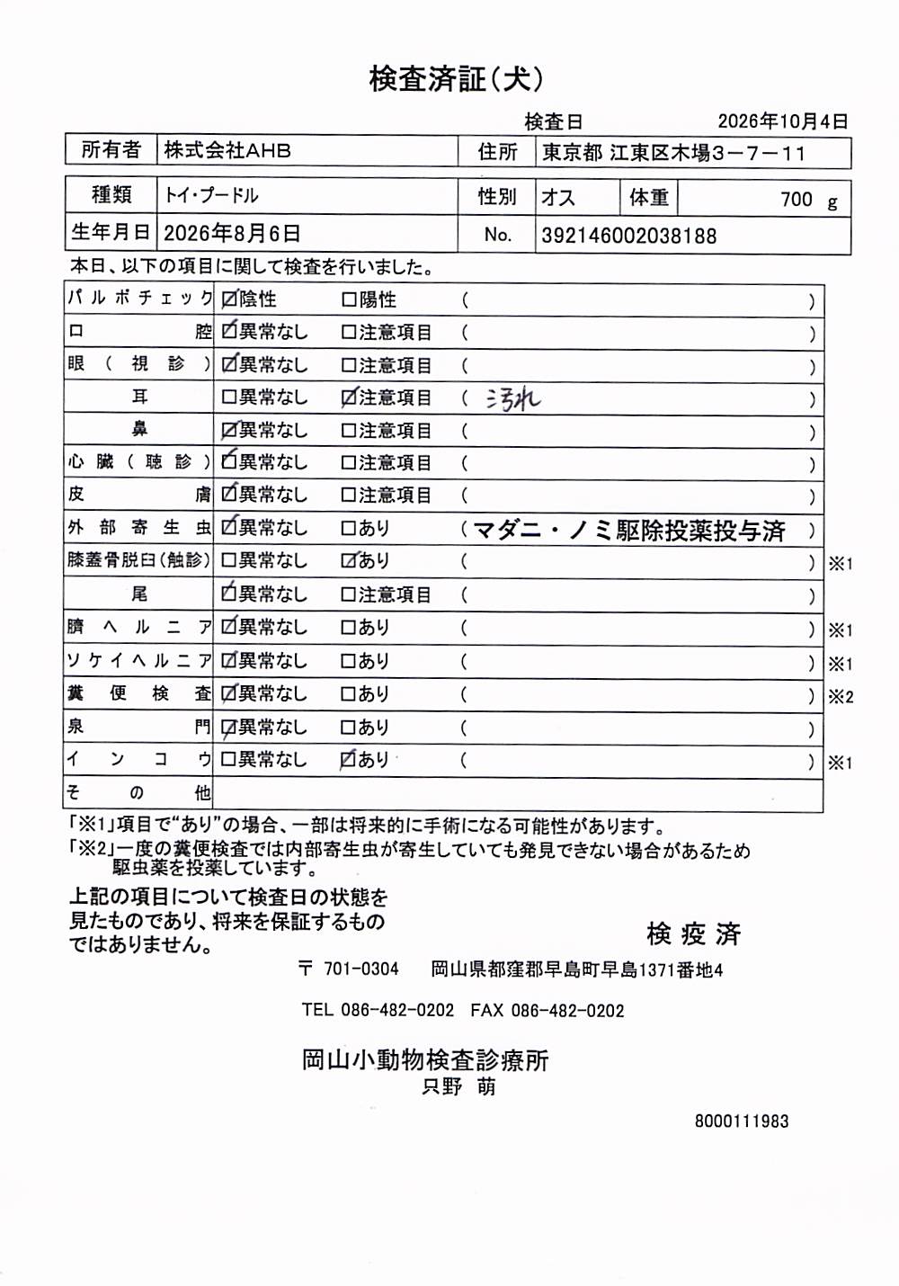 トイ・プードル