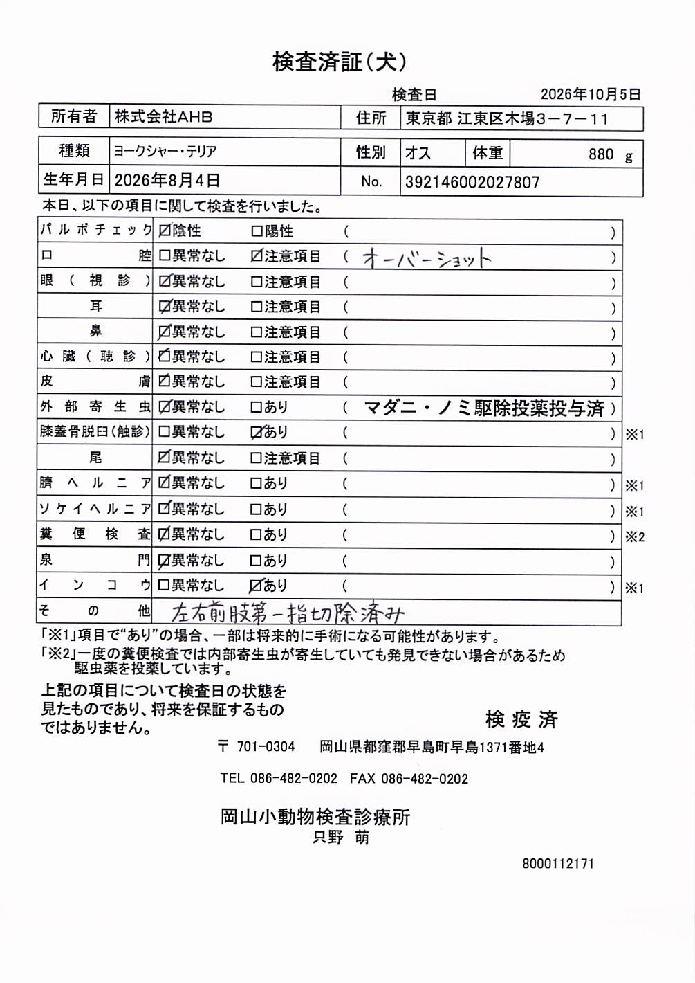 ヨークシャー・テリア