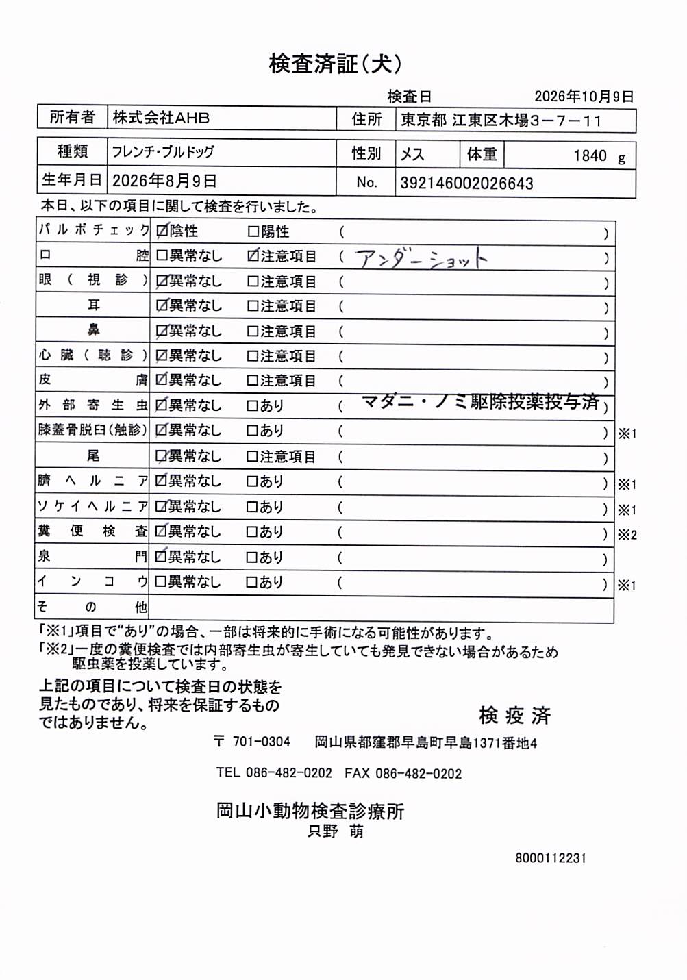 フレンチ・ブルドッグ