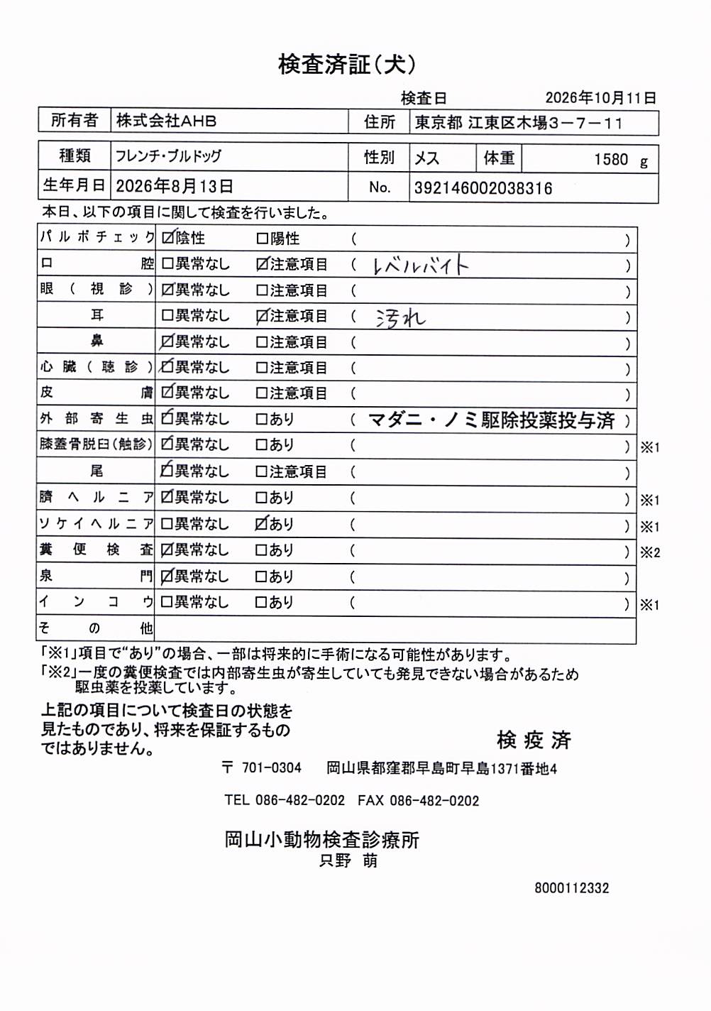 フレンチ・ブルドッグ
