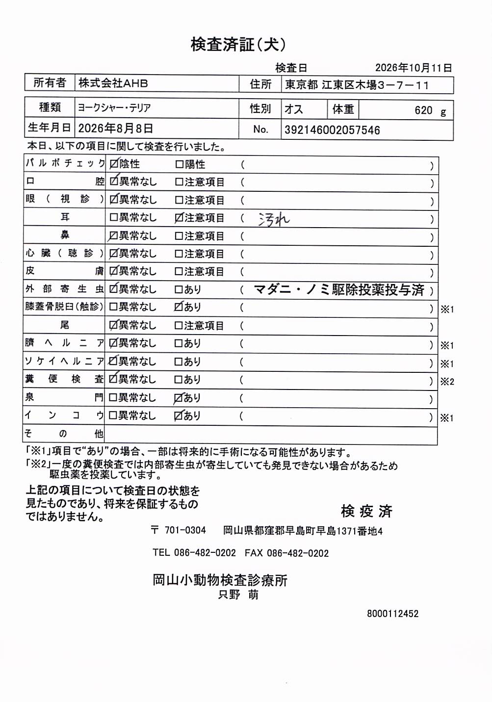ヨークシャー・テリア