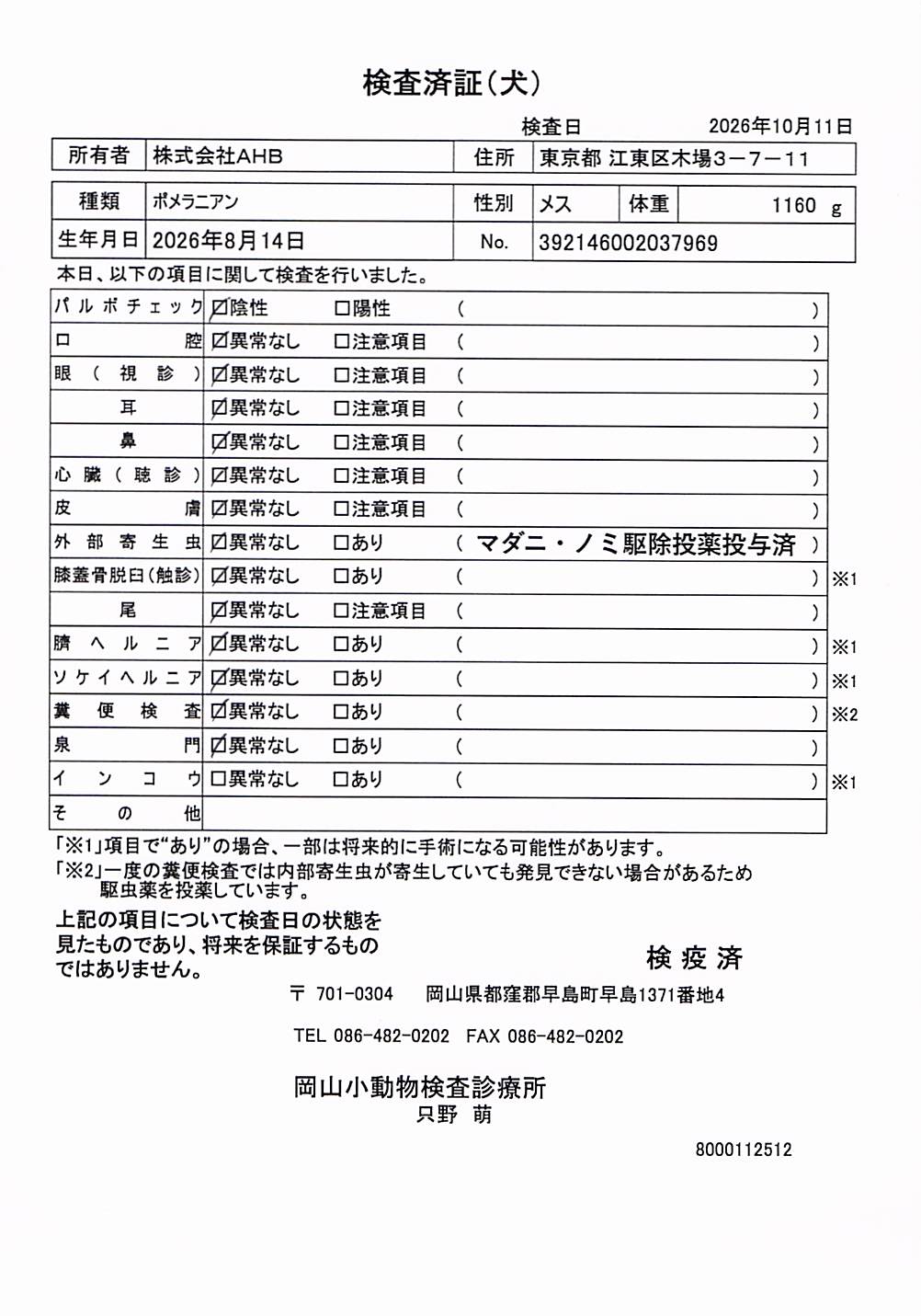 ポメラニアン