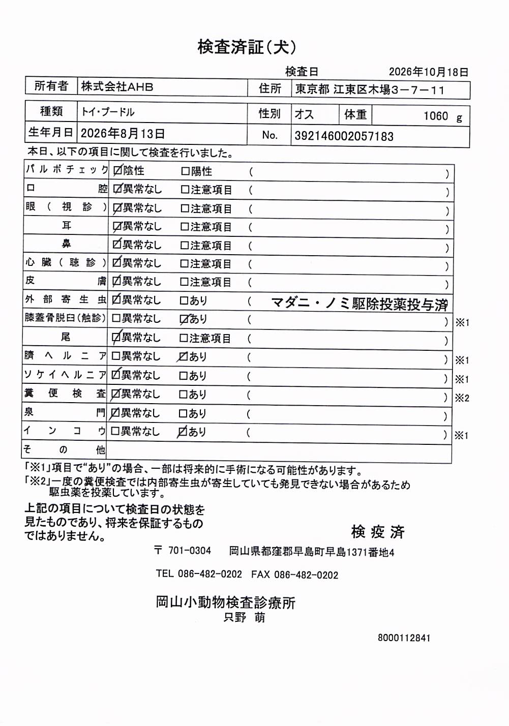 トイ・プードル