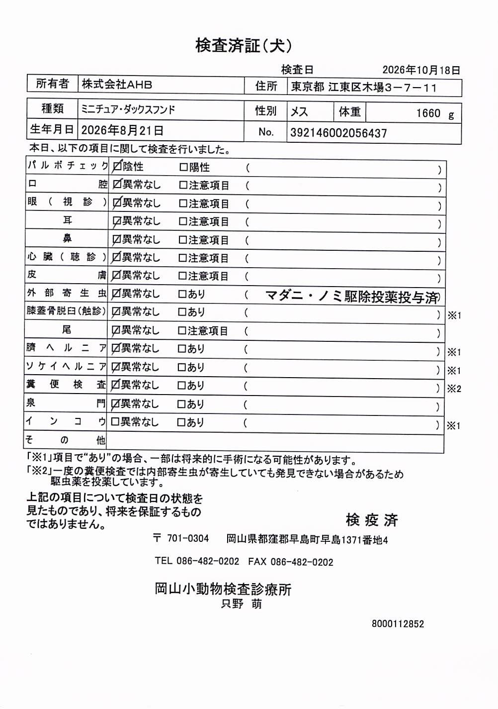 ミニチュア・ダックスフンド