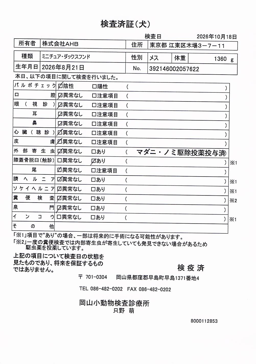 ミニチュア・ダックスフンド