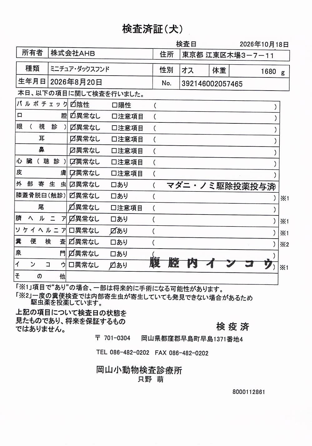 ミニチュア・ダックスフンド