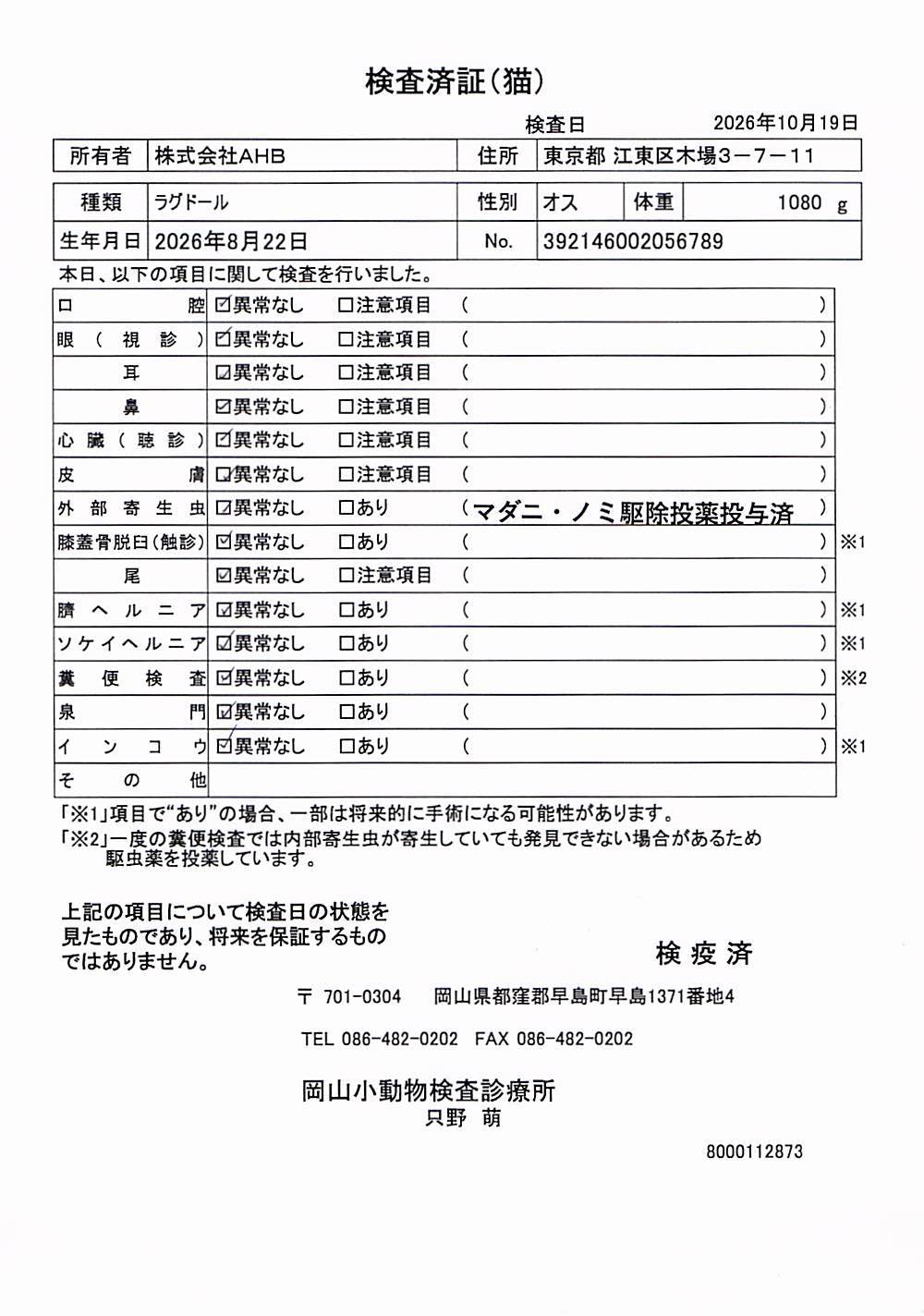 ラグドール
