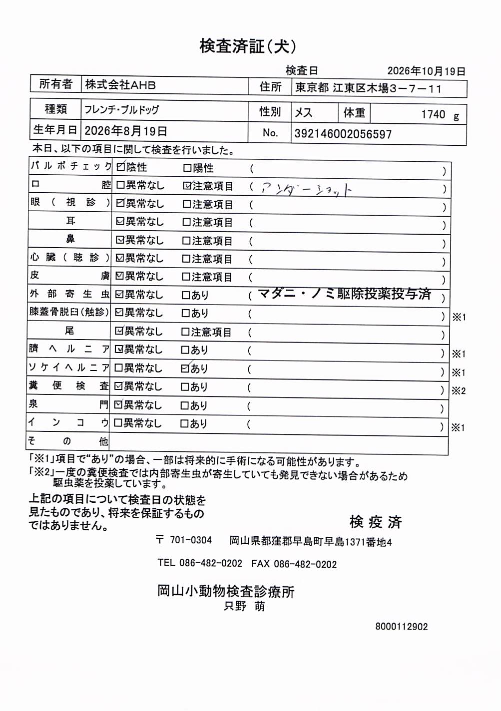フレンチ・ブルドッグ
