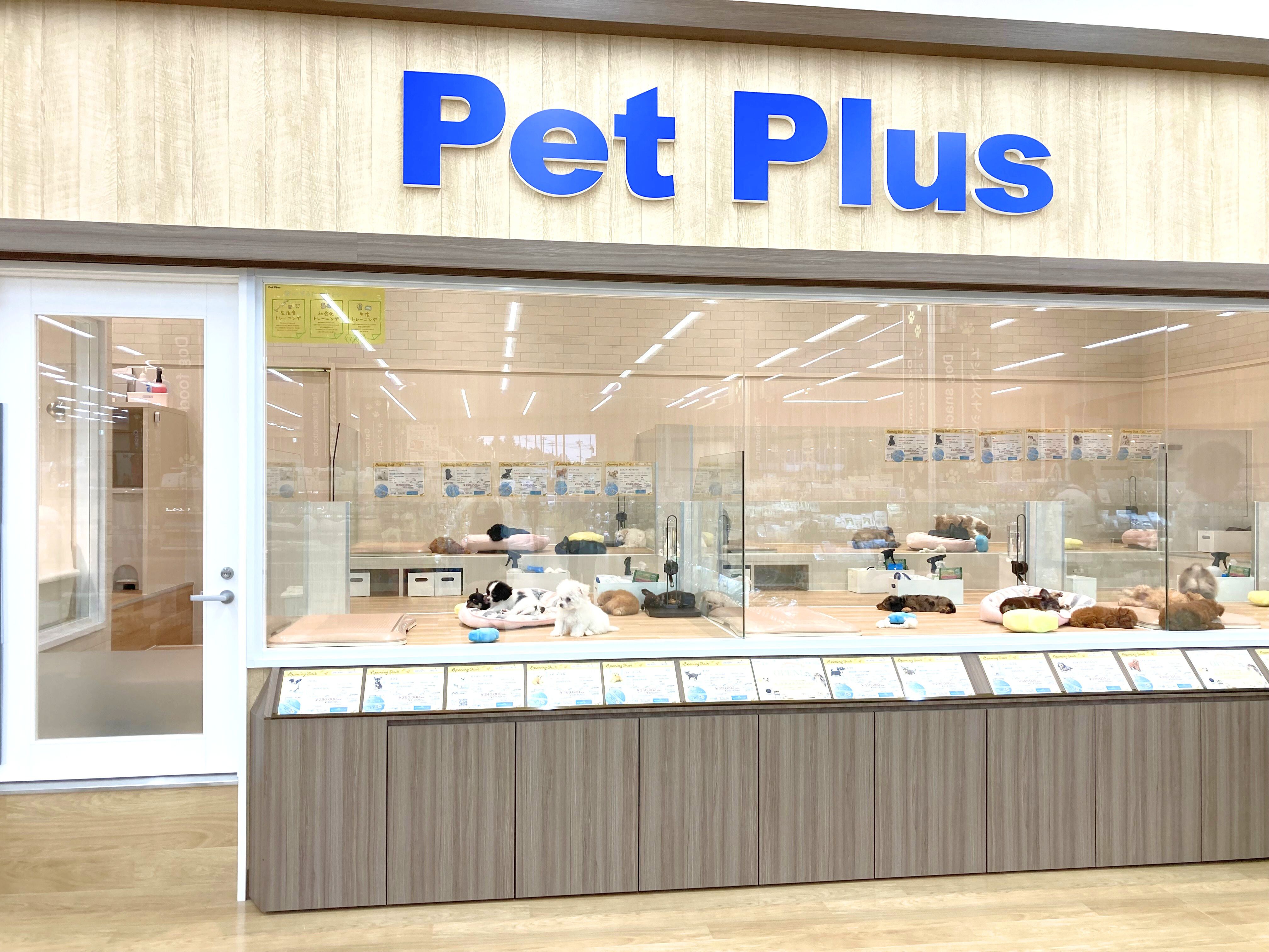 ペットプラス 仙台泉大沢店の写真