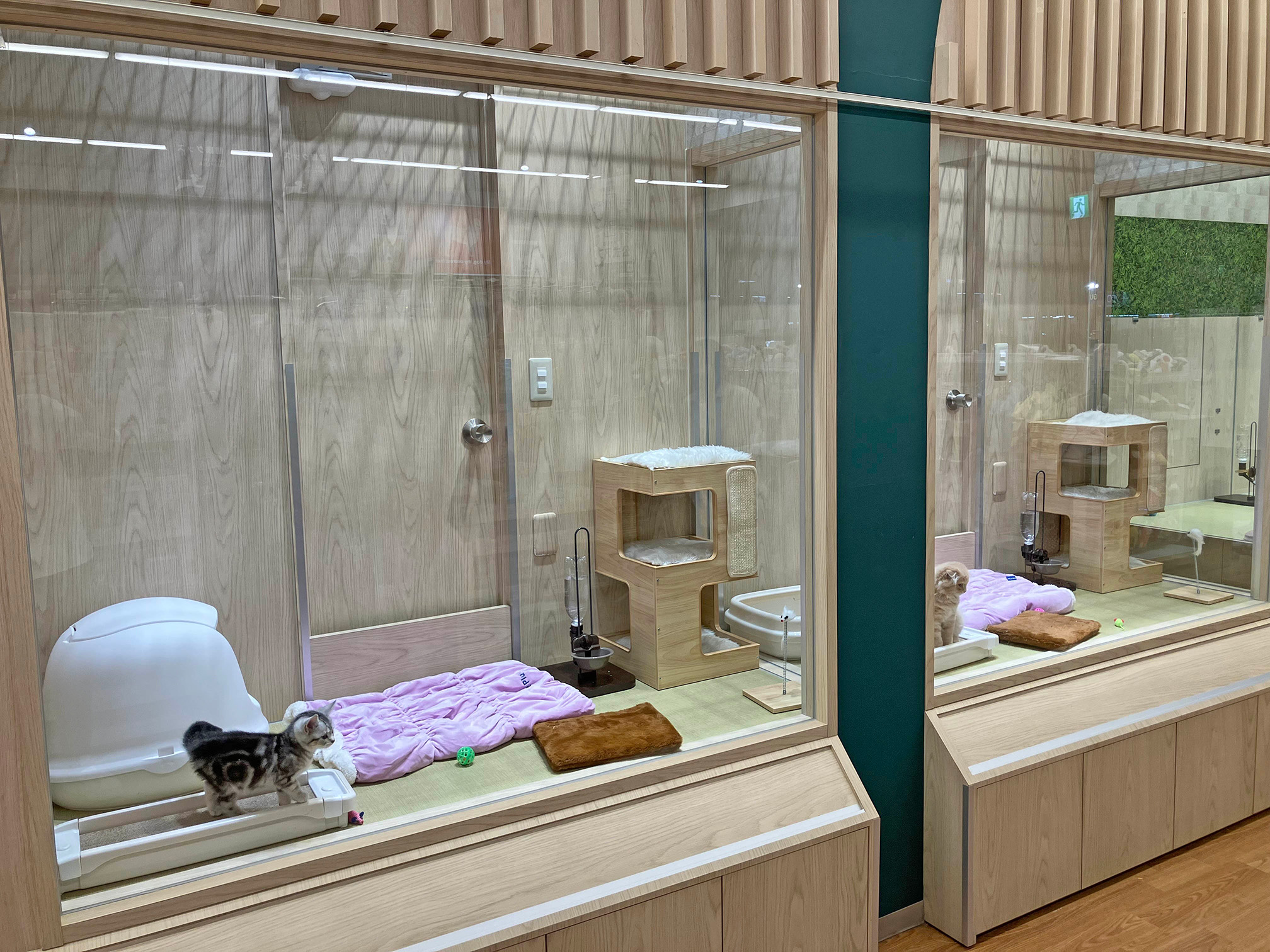 ペットプラス イオンタウン郡山店の写真