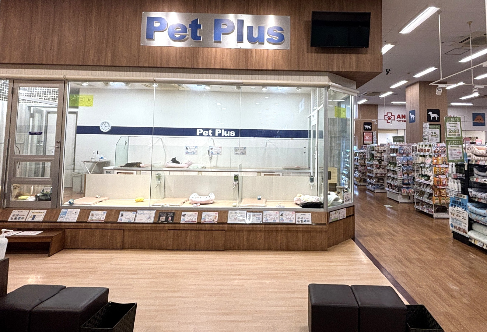 ペットプラス 柏店の写真