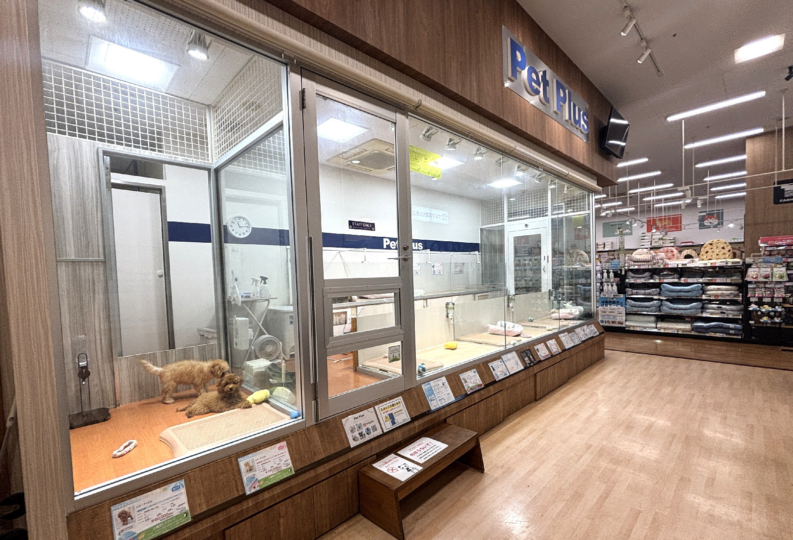 ペットプラス 柏店の写真