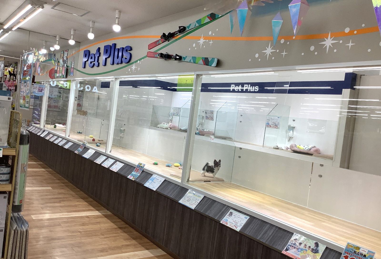 ペットプラス 長野店の写真