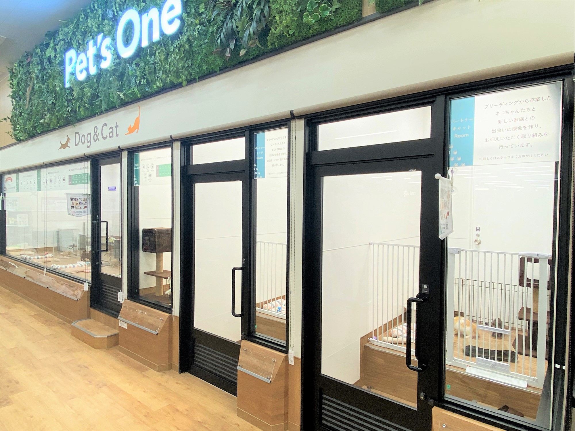 ペッツワン 古河店の写真