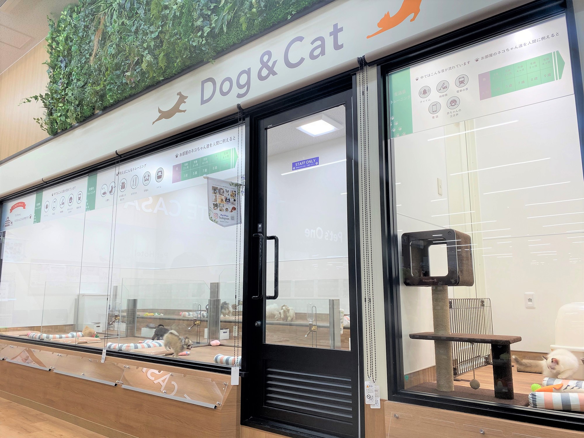 ペッツワン 古河店の写真