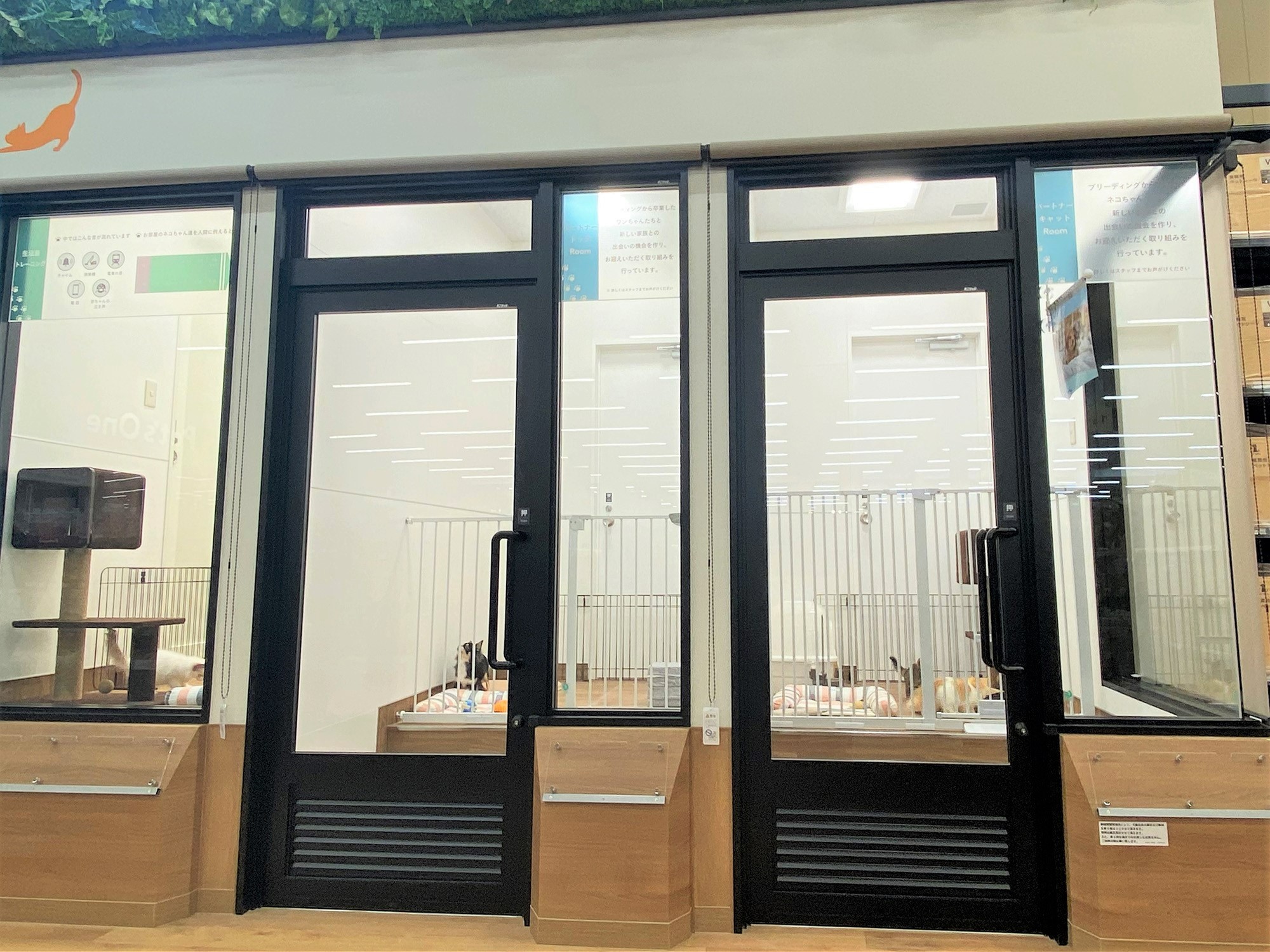 ペッツワン 古河店の写真