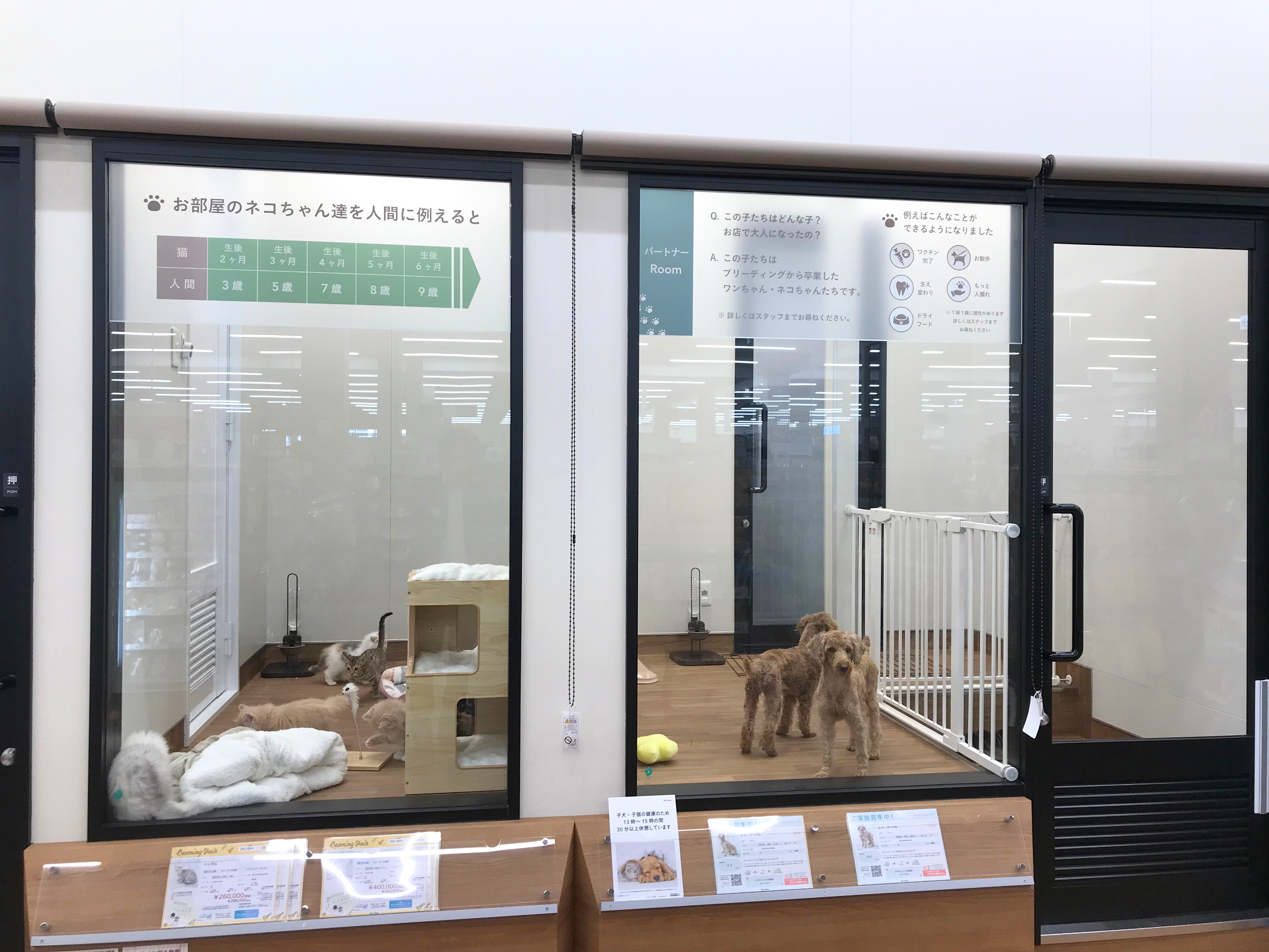 ペッツワン つくば店の写真