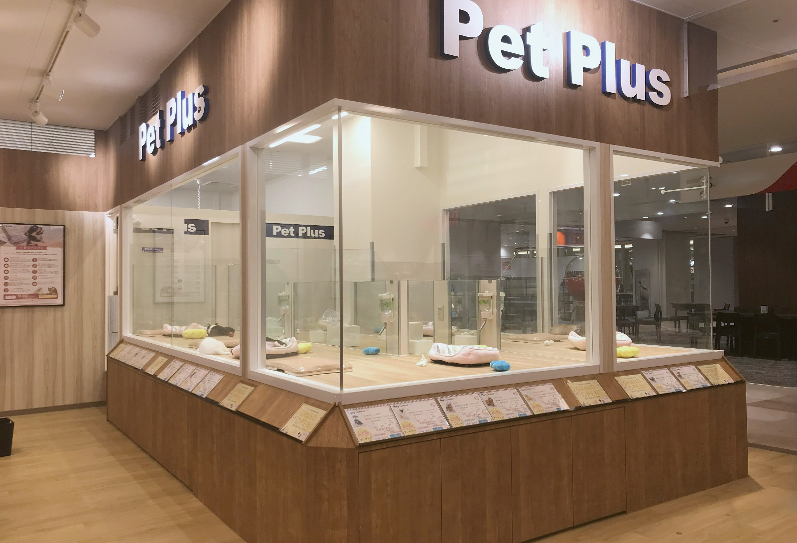 ペットプラス MARK IS 葛飾かなまち店の写真