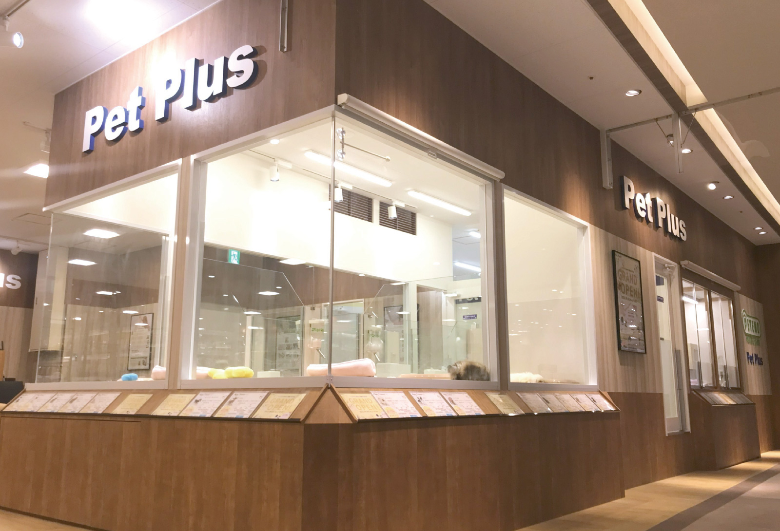 ペットプラス MARK IS 葛飾かなまち店の写真