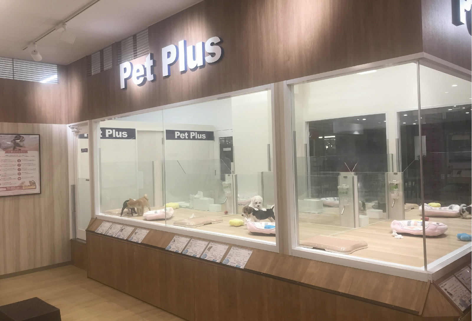 ペットプラス MARK IS 葛飾かなまち店の写真