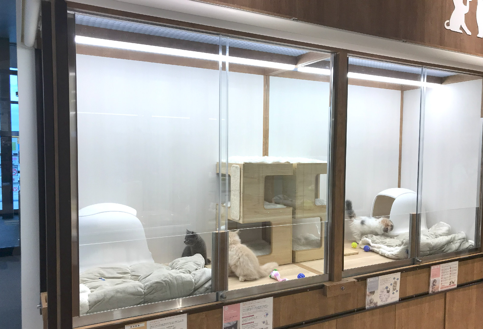 ペットプラス 須坂店の写真