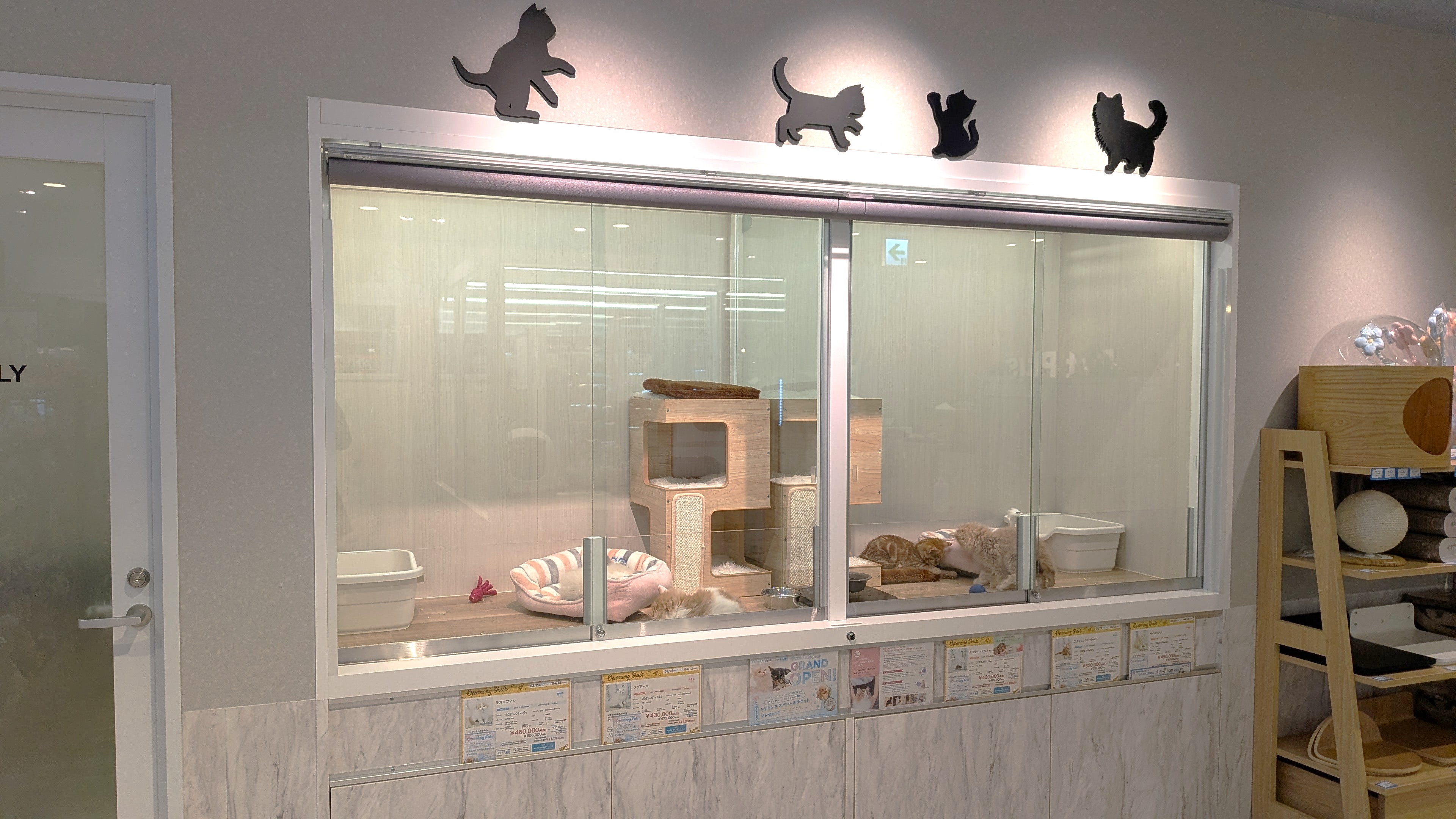 ペットプラス 大井町トラックス店の写真