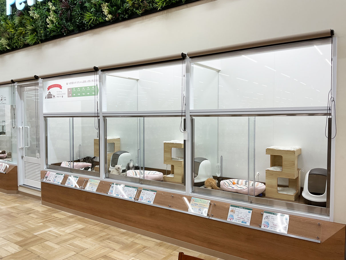 ペッツワン 千葉ニュータウン店の写真