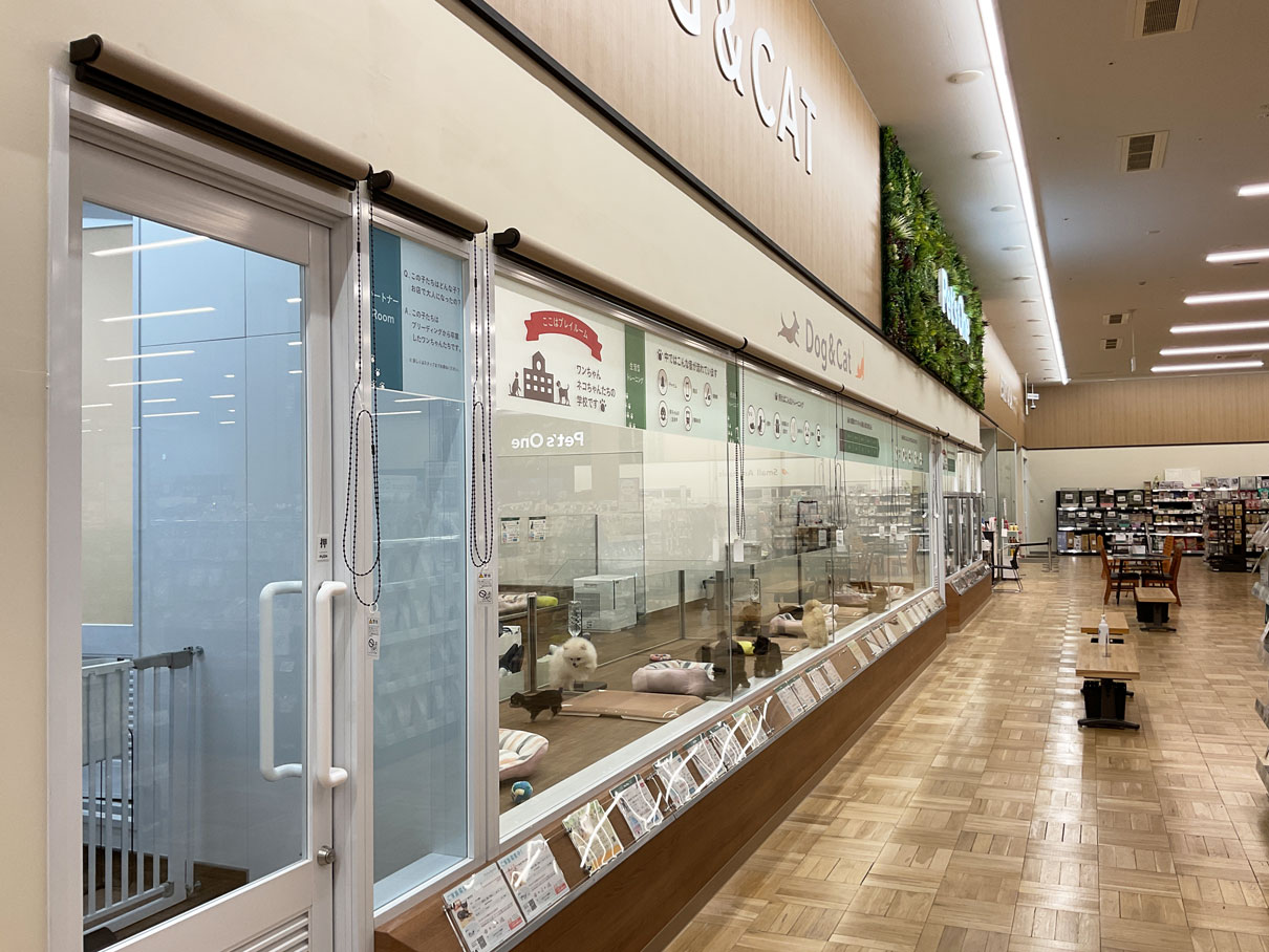 ペッツワン 千葉ニュータウン店の写真