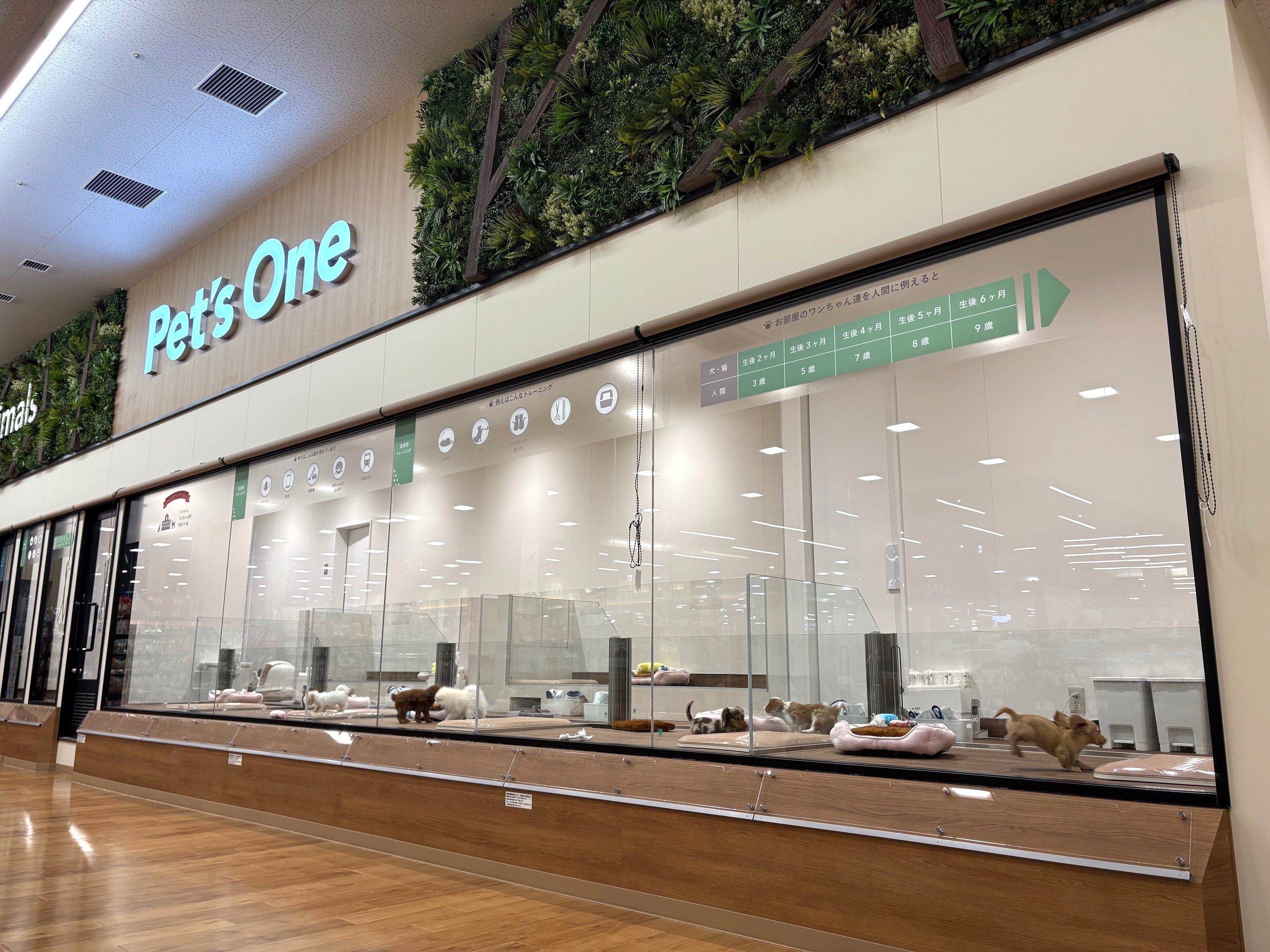 ペッツワン 吉川美南店の写真