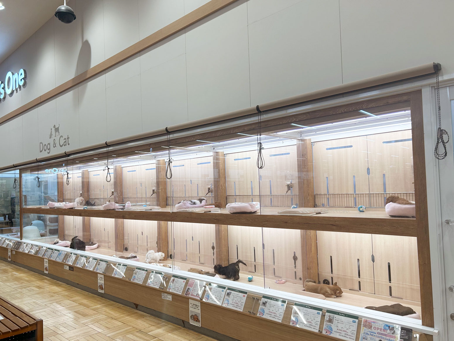 ペッツワン 浦和美園店の写真