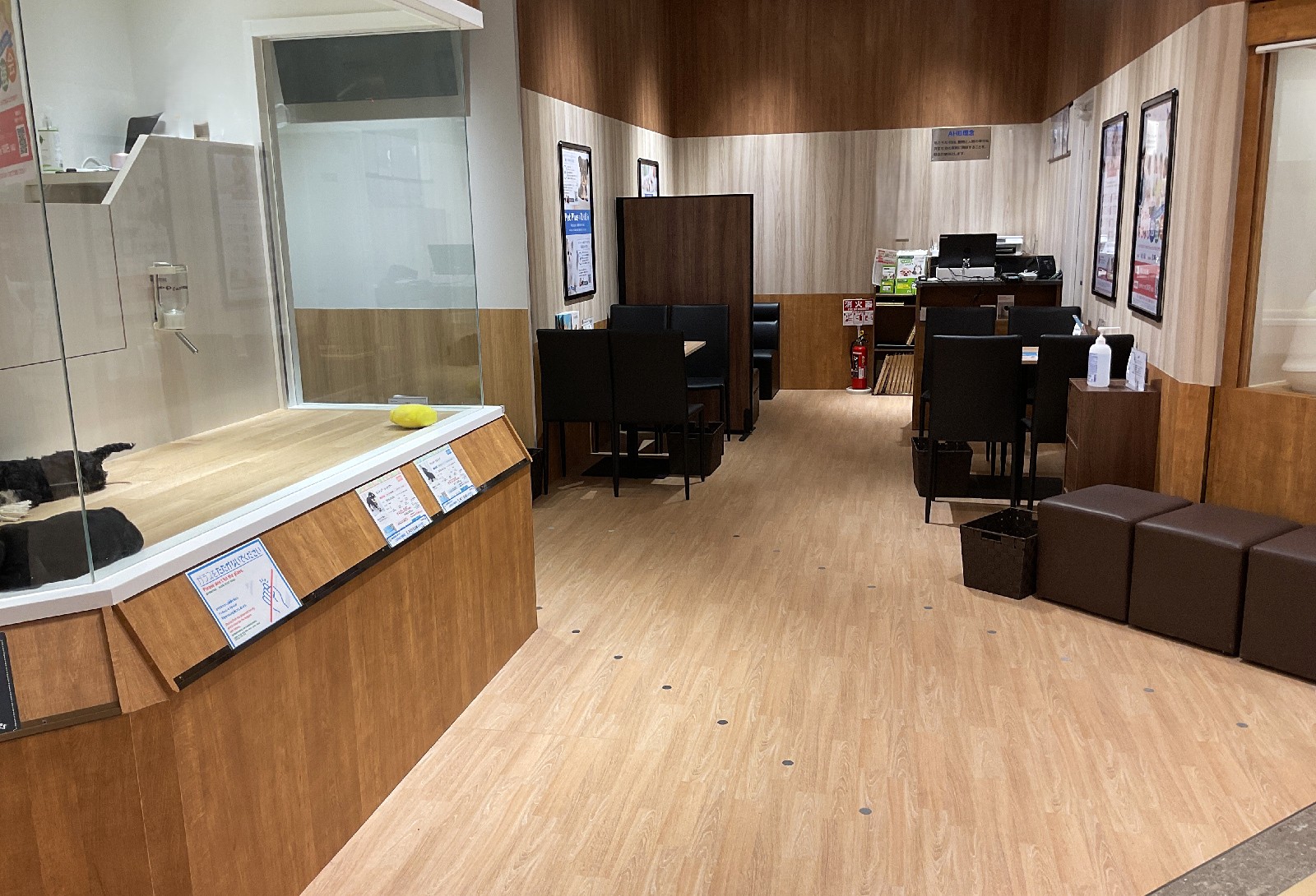 ペットプラス モザイクモール港北店の写真