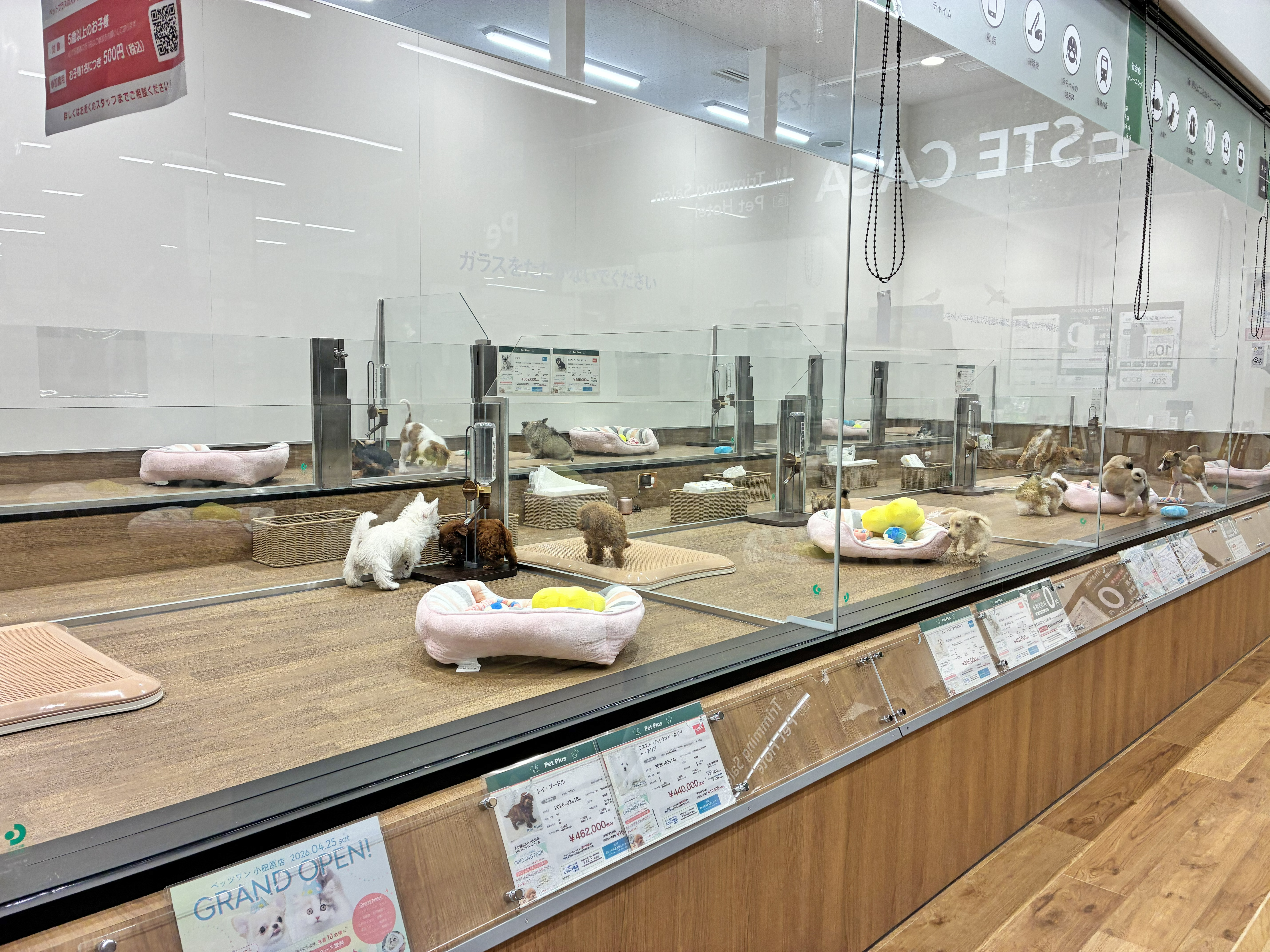ペッツワン 小田原店の写真