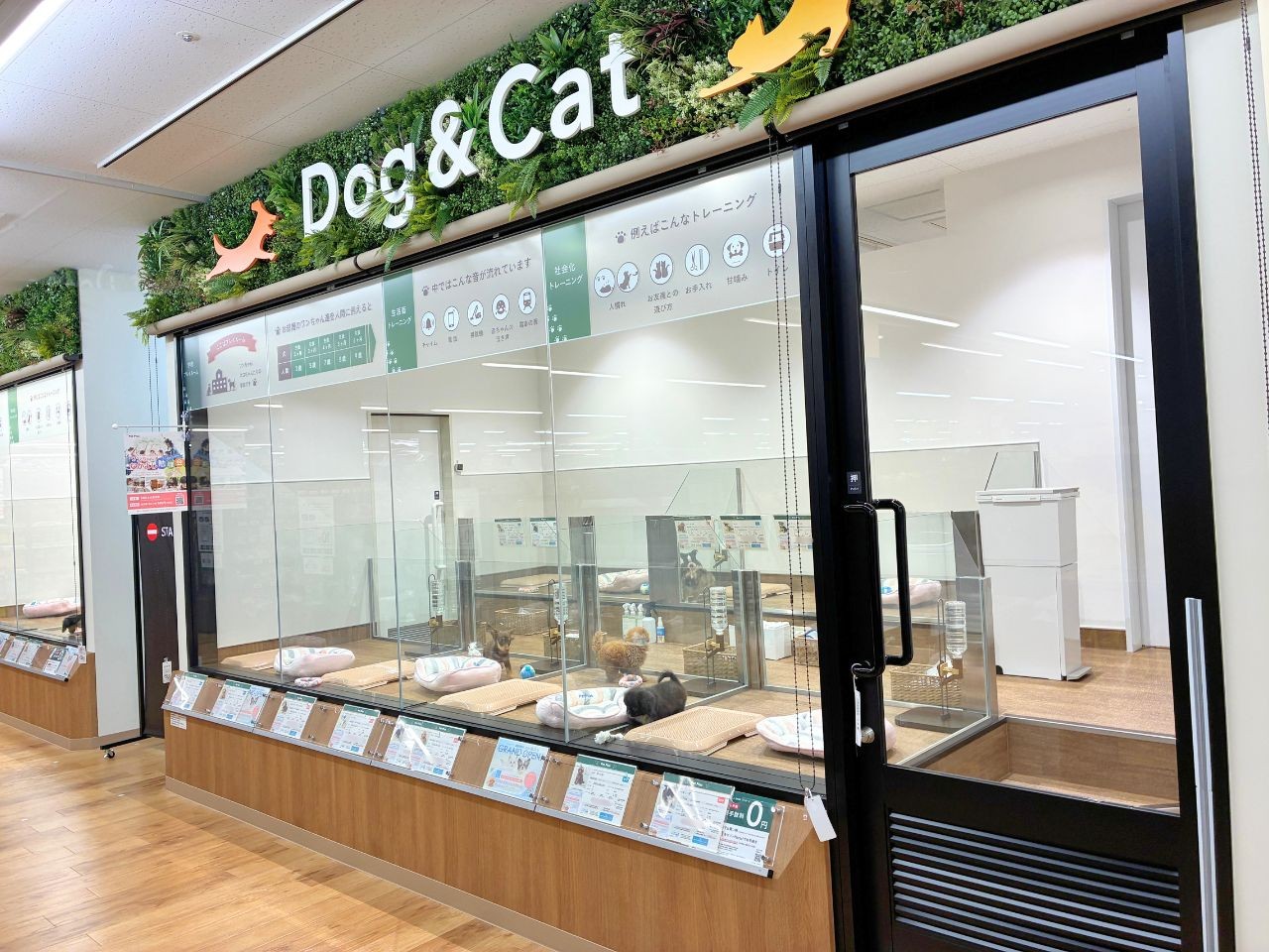 ペッツワン 鎌倉梶原店の写真