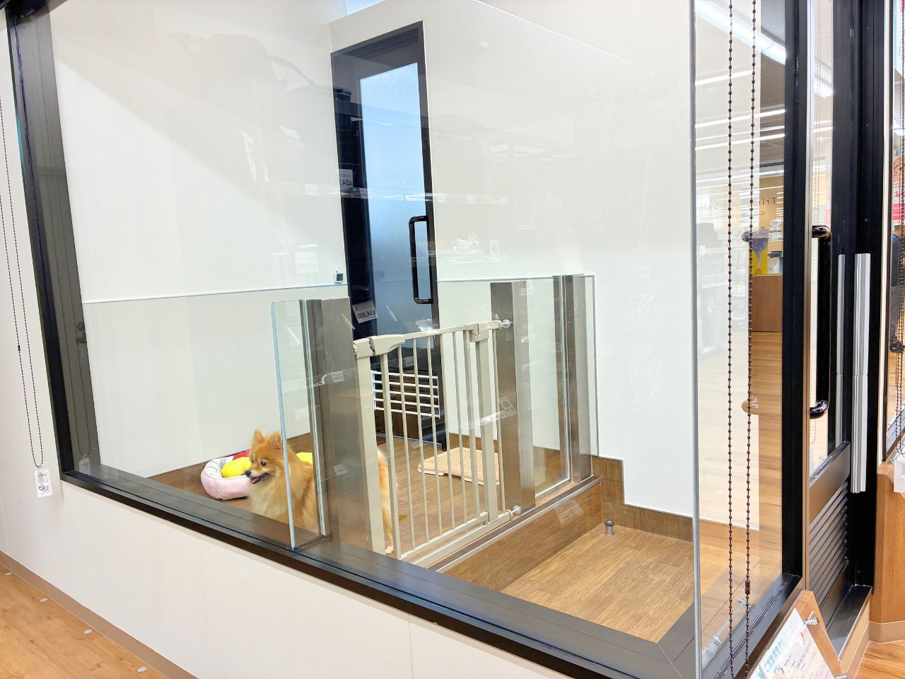 ペッツワン 鎌倉梶原店の写真