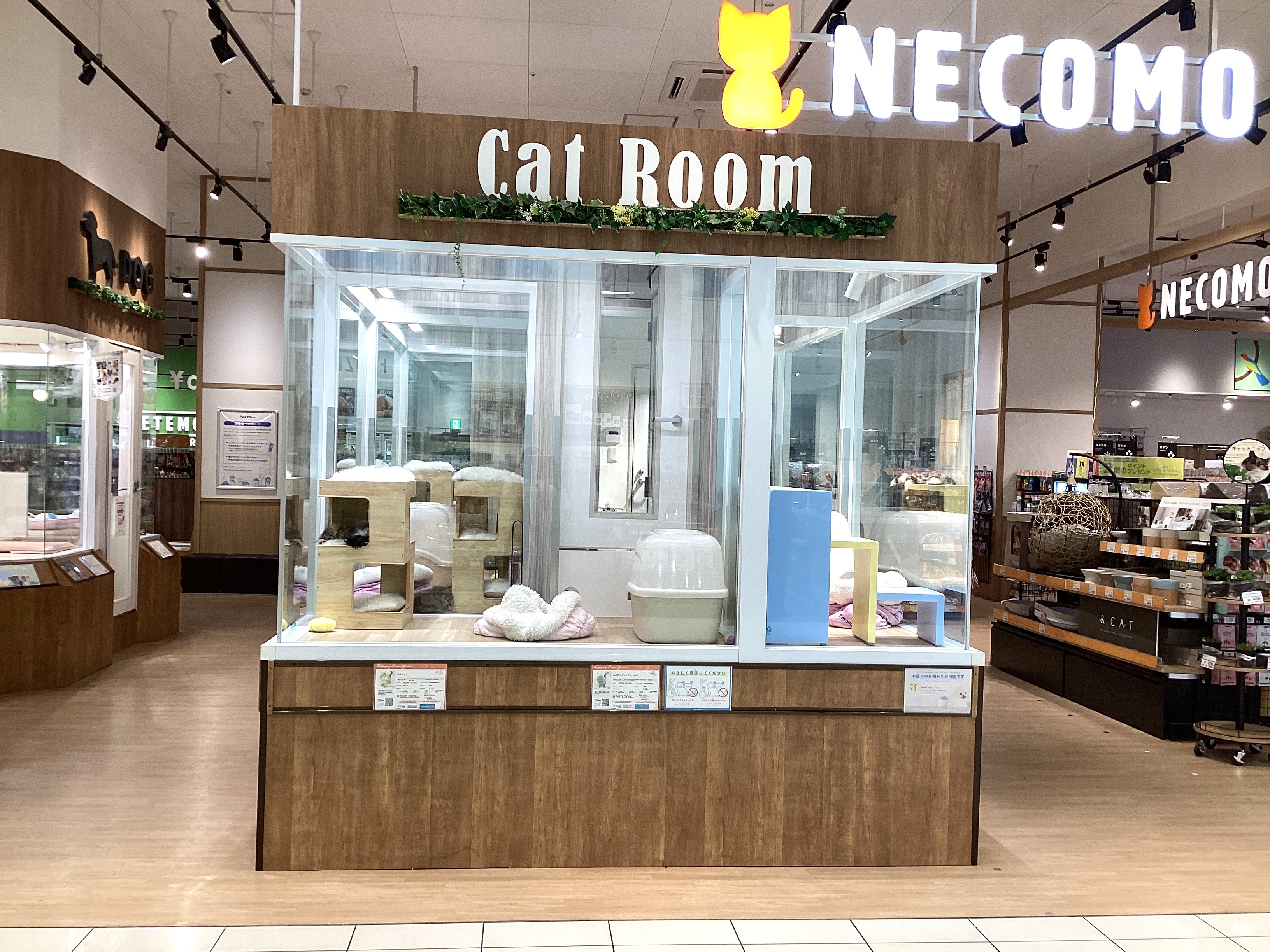 ペットプラス ナゴヤドーム前店の写真