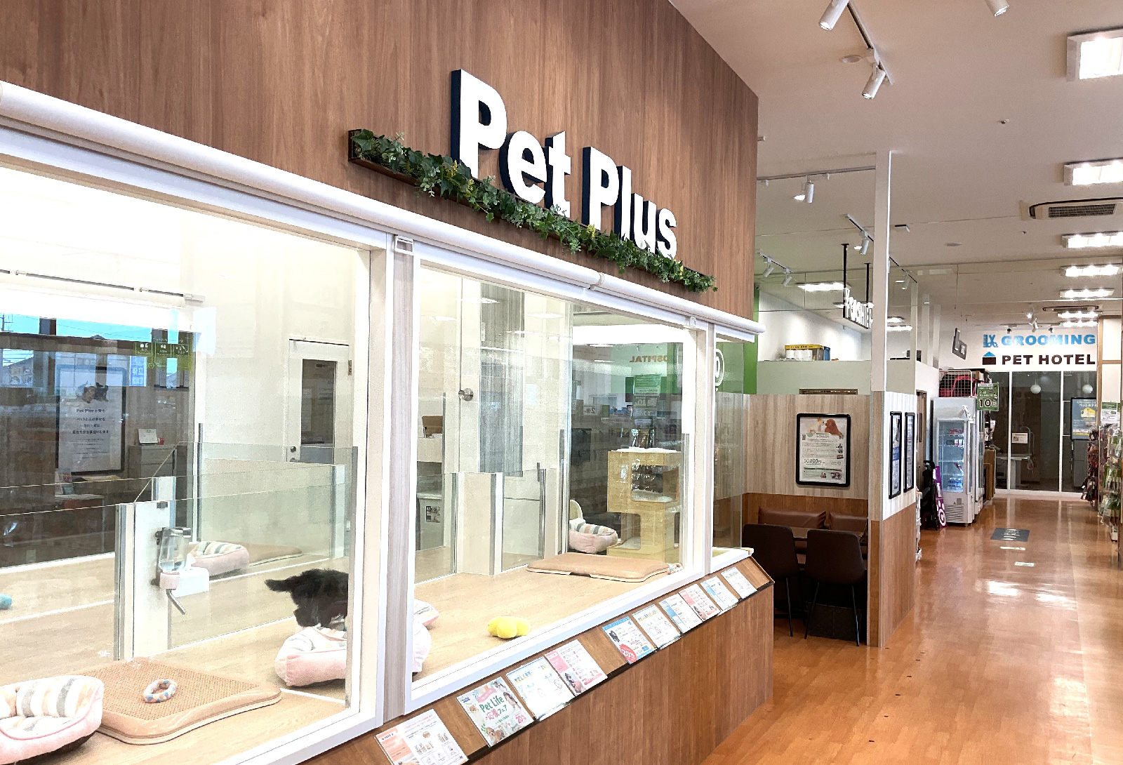 ペットプラス 福井店の写真
