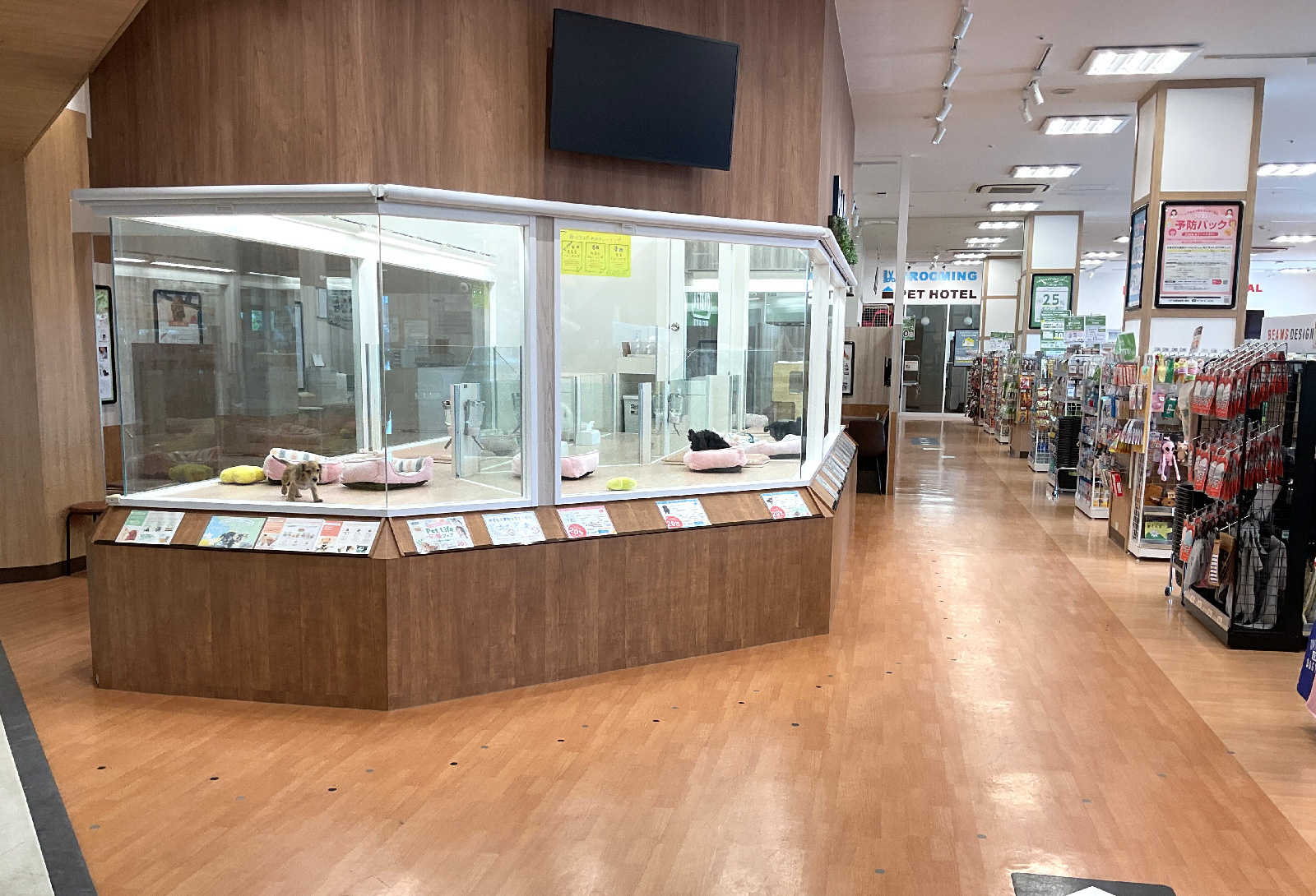 ペットプラス 福井店の写真